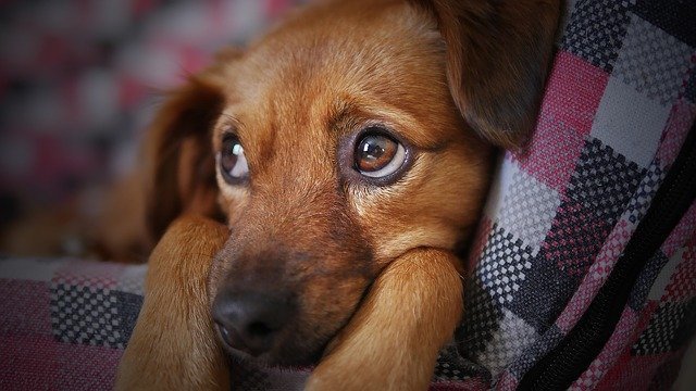 目は口ほどに物を言う